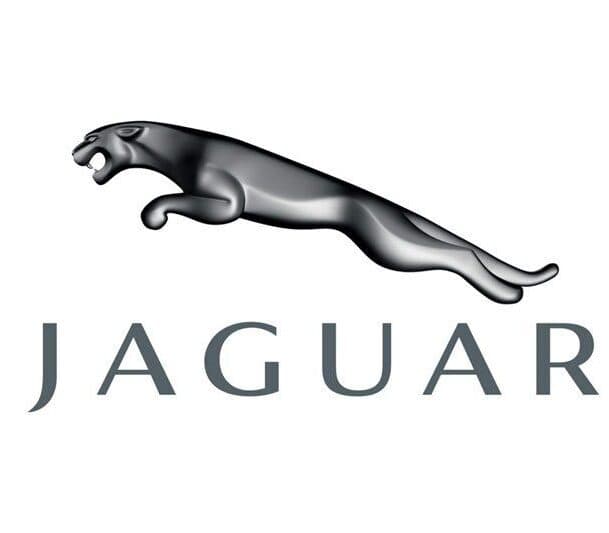 Image of Jaguar